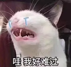 表情包集中营的QQ空间 [http://99441339.qzone.qq.com]