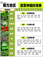 九月适合种什么菜？（南方地区适用） - 小红书