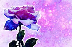 抽象的花背景与玫瑰。