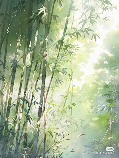 爱画画的星越采集到古风无人