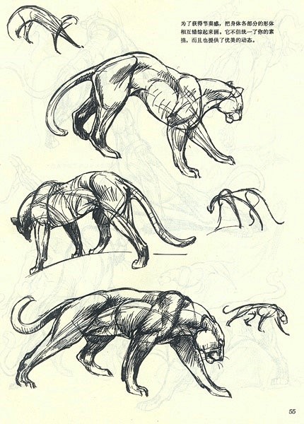 毛线子从冷哈气转采于2019-11-07 13:17:30豹子2动物/结构/动态/资料