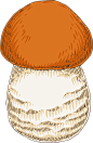 手绘秋季森林植物树叶蘑菇菌类蜗牛卡通免扣PNG图案 AI矢量素材 (17)