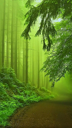 风月清冷采集到风景