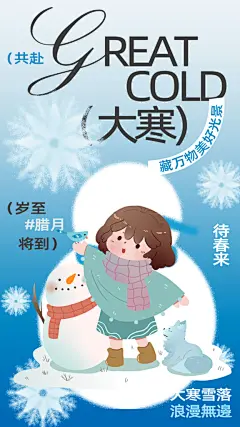 高级大寒节气宣传海报
