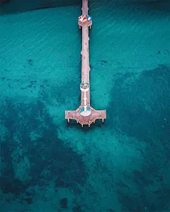 我的收藏--网易云阅读