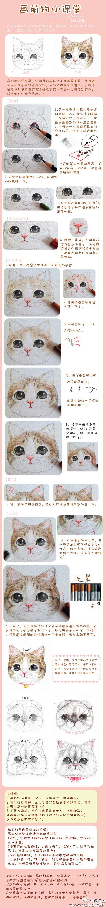 萌物小课堂——彩铅画猫步骤图～via:福...