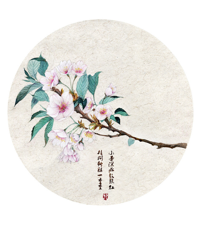 绯羽