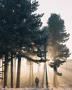 *掌♥的翅膀*采集到场景-实景