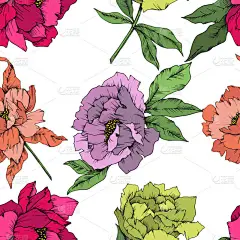 向量牡丹花植物花。野生春叶野花分离。雕刻的水墨艺术。无缝的背景模式。织物壁纸打印纹理.