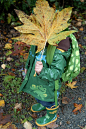 my big leaf