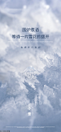 源文件-小雪大雪刷屏海报