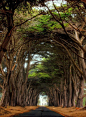 Point Reyes National Seashore, California, USA