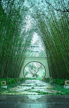 M_Worming采集到中式景观