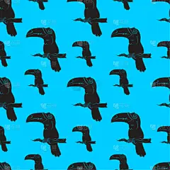 巨嘴鸟,鸟类,四方连续纹样,摆拍,纺织品,壁纸,公园,动物,巴西,绘制