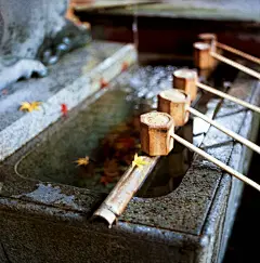禅意水景