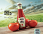 Heinz : A visualized art work done for heinz International  