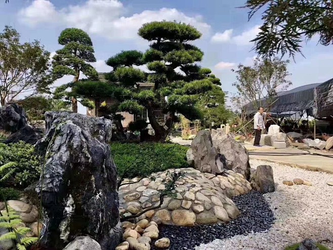 黑山石造景