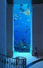 迪拜的海底世界，好清纯的蓝色 …（我们都是蓝色控@蓝色潮流控）(02AA8)