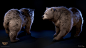 Baldur's Gate 3 - Bear