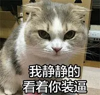 #好玩的表情包# 小婊砸还不去铲屎，居然还在刷微博