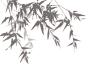 竹子
