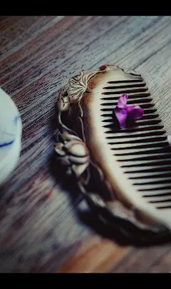 你说，百世一梦，轻呵素手，
后来，遥望远步，君可知否？ 
你说，词凉鸿案，月残风骤，
后来，减玉罗衣，每每消瘦． 
你说，夜雨枫桥，十里画廊，
后来，妆残泪滴，疏影横窗． 
你说，揽腰长桥，鸳鸯丝扣，
后来，行云如诉，暗吞声透．