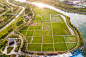 长安公园稻香园，西安 / 上海赤地设计事务所 : 打造都市农业互动体验的景观