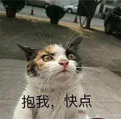你手机里最搞笑的表情包是哪个？（请关闭水印）？ - 知乎