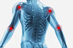 肘部上的标示png免抠素材_新图网 https://ixintu.com 关节痛 痛 疼痛 痛苦 关节 痛楚 疼 剧痛 疾苦 刺疼 忍受 关节病 标示 人体架构 关节疼