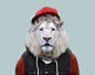 White-Transvaal-Lion---Panthera-Leo-Krugeri-copia