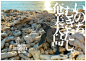 今年、世界自然遺産に登録された奄美大島から「いのち、むきだし。奄美大島」PRムービーが公開！圧倒的ないきものの映像と心揺さぶる歌で制作された映像は必見！｜奄美大島自然保護協議会のプレスリリース