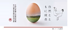 wFy_迷鹿采集到包装