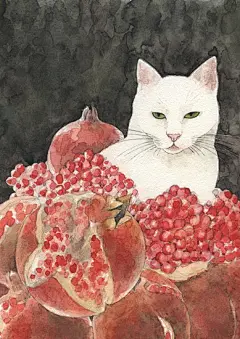 日本插画师Midori Yamada笔下的喵星人 插画艺术--创意图库