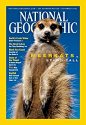2002年9月，自打国际考察队发现（南非）海岛猫鼬后，这种小小的，亲切的哺乳动物很快就荣登《国家地理》杂志封面，它最善于和人类合作拍照了。这张彩色的特写照配合正文，告诉读者他们是如何照料幼仔，担当警卫，相拥而眠。
