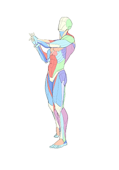 maersi采集到绘画