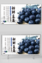 中国风蓝莓水果店图片展板-众图网
