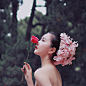 繁花，如梦