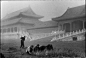 1948 北京 故宫 布列松 摄影 