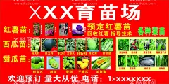 育苗基地 育苗海报  - 源文件下载【酷图网】育苗基地,育苗海报,西瓜苗,甜瓜苗,菜苗,各种菜苗,瓜苗,红薯苗,