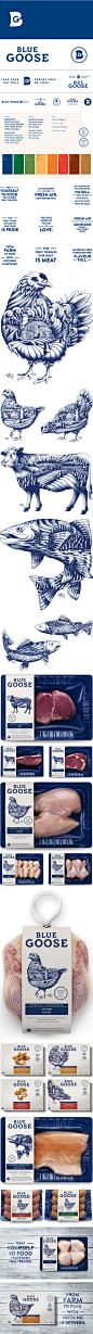 全新蓝色有机肉类食品包装设计 - 视觉同盟(VisionUnion.com)