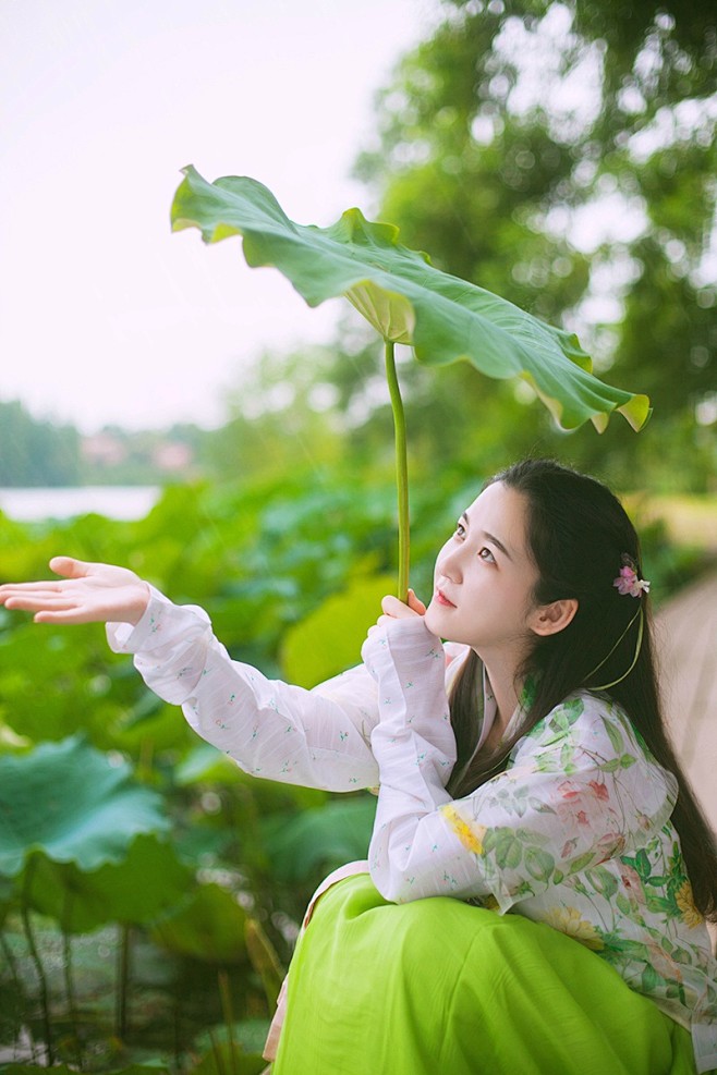 【梦入芙蓉浦】叶上初阳干宿雨，水面清圆，...