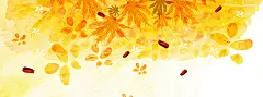 秋季,枫叶,黄色,手绘,墨迹,文艺,海报banner,卡通,童趣图库,png图片,网,图片素材,背景素材,3856589@飞天胖虎