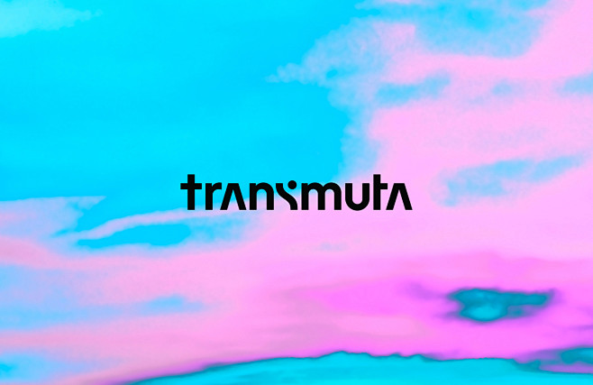 Transmuta实验室渐变品牌VI设计