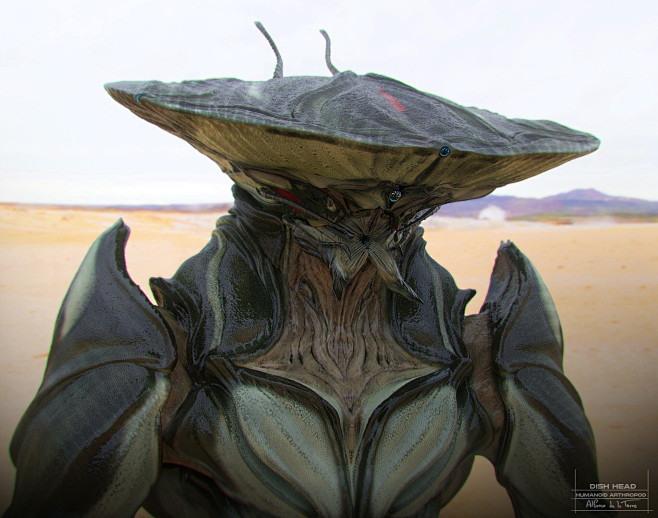 Dish Head