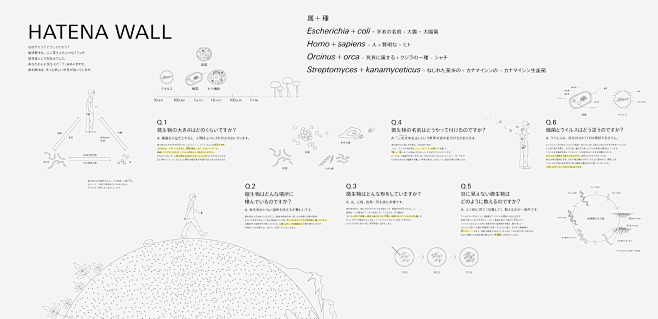 HUM　梅澤濱夫記念館7枚目