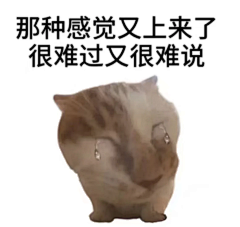 夜曌星辰采集到画板