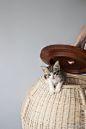 来自巴塞罗那的设计师Laia在生活中与猫为伴，于是设计出一系列融合了人的使用功能与猫的使用功能相结合的家居产品——Cluc。比如那个藤编的床头柜，同时也是猫咪的卧室。那个陶瓶机可以作为摆设，也可以作为猫咪的餐厅。设计来源于生活，在Laia的设计中完美体现。