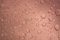 抽象的水或雨滴透明背景，壁纸特写