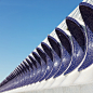 White sculptures : The flexible boundary between architecture and sculpture in Calatrava’s unique architectural language is a typical attribute of his work. His buildings in the Ciudad de las Artes y de las Ciencias (City of Arts and Sciences) appear like