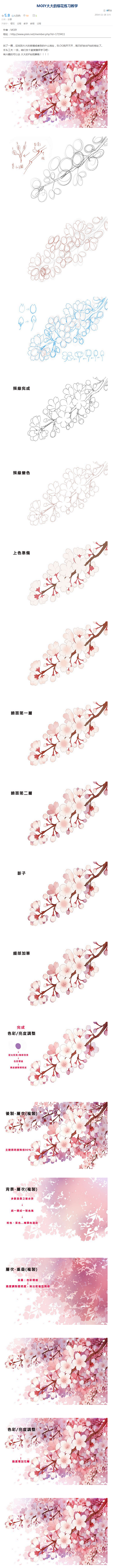 樱花